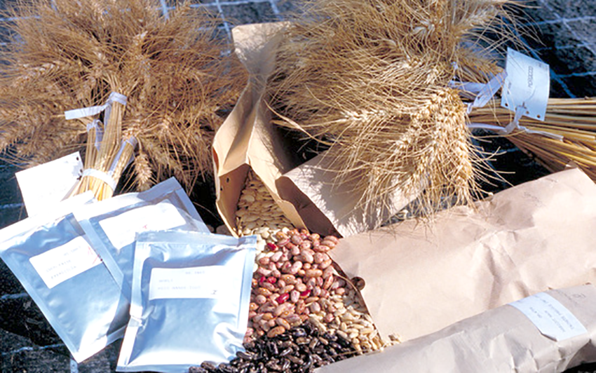 Banque de semences : outil de conservation