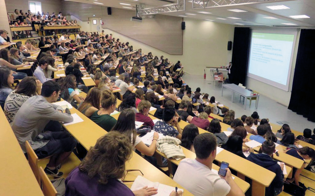 Higher education: official introduction of English into the university curriculum