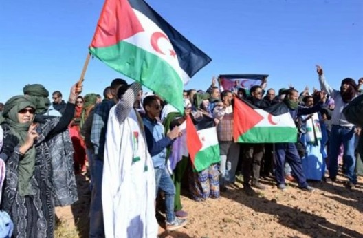 Solidarité avec le peuple sahraoui : Des recommandations pour intensifier le soutien à la cause