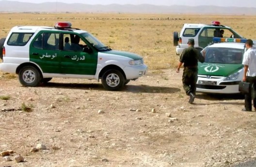 Démantèlement d'un réseau national de vol de bétail à Relizane