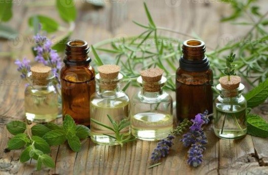 Soins à base de produits naturels : Une nouvelle dynamique portée par de jeunes universitaires