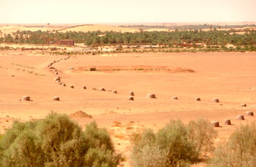 Timimoun : Des experts, chercheurs et développeurs préparent la 3e édition du Sommet des oasis