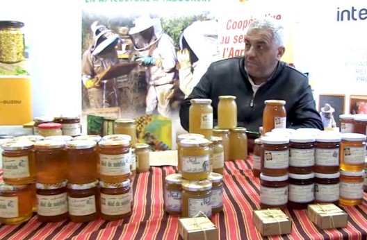 3e édition de la Foire du miel à Beni Douala : Rassurer sur l’authenticité et la qualité des produits