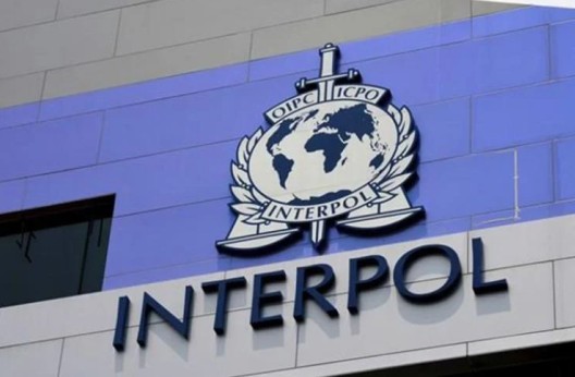 SELON INTERPOL : 37 interpellations lors d’une opération antiterroriste, annonce Interpol