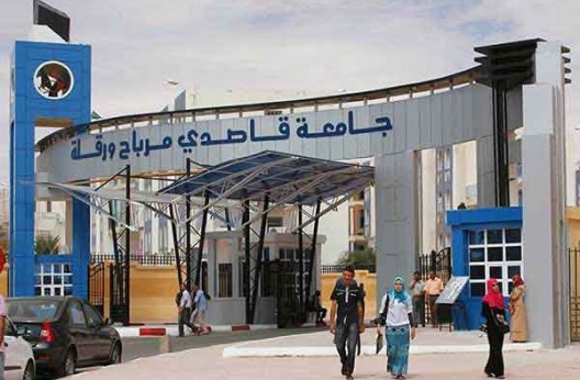 Université de Ouargla : Installation d’une cellule qualité