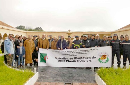 Tizi Ouzou : Large campagne pour la plantation de 2000 oliviers