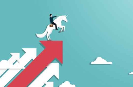 Passer d’une Start-up à une Scale-up puis à une licorne : Paradigme de succès d’une entreprise innovante