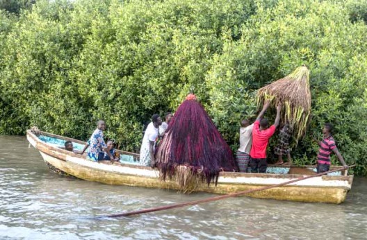 Pour sauver leurs mangroves… : Le Bénin fait appel au vaudou