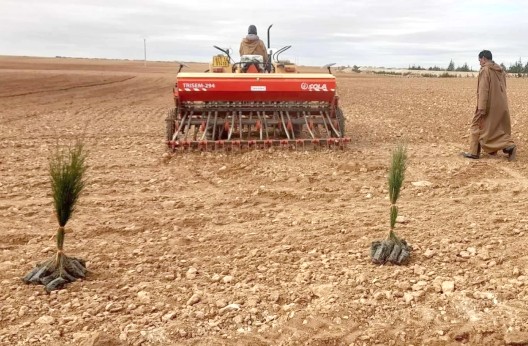 Rahouia (Tiaret) : Un potentiel agricole face à des défis