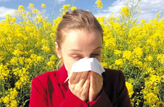 Pollens : Attention aux allergies !