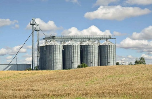 Projet d’un méga-silo à grains à Boumahra Ahmed (Guelma) : Les premiers terrassements lancés