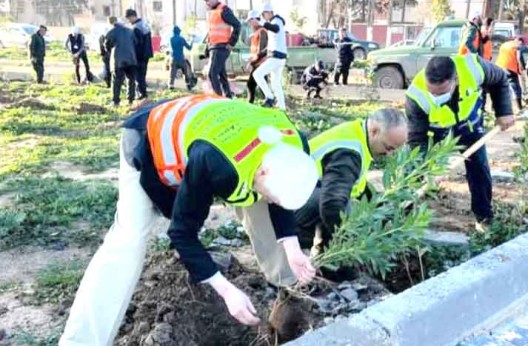 Jardin citadin Ettefah de Tiaret : Plantation de diverses espèces végétales