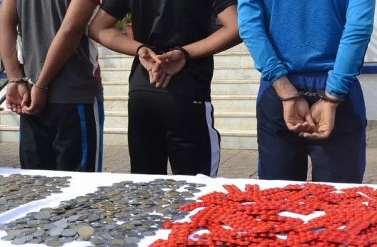 Laghouat : Saisie d’une quantité de psychotropes et arrestation d’un individu