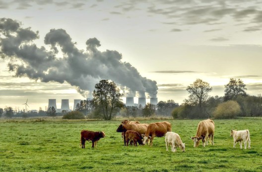 Selon un rapport d’experts de l’université britannique d'Exeter : Le changement climatique réduirait de 50% le PIB mondial d’ici 2070