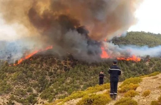 Aïn Defla : Des mesures pour lutter contre les incendies