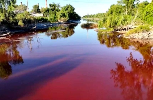 «Ruisseau de sang» : Les riverains d'une banlieue de Buenos Aires dénoncent une «pollution»