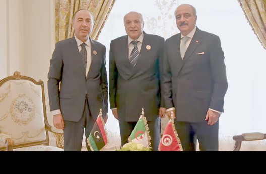 Réunion tripartie Algérie-Tunisie-Libye au Caire : Les préparatifs du sommet de Tripoli évoqués