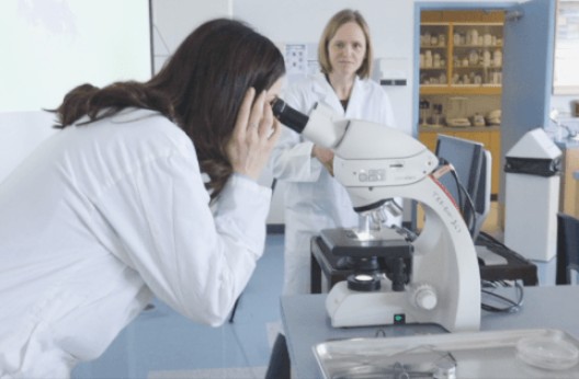 Selon une note de l’OIT sur les femmes et le monde du travail : «Encore deux siècles pour parvenir à l’égalité en matière d’emploi»