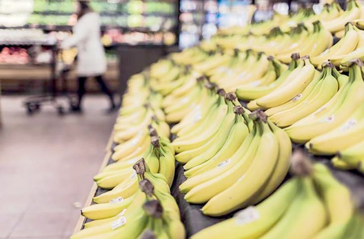 En raison du monopole exercé sur la filière de la banane : La spéculation bat son plein pendant le Ramadhan